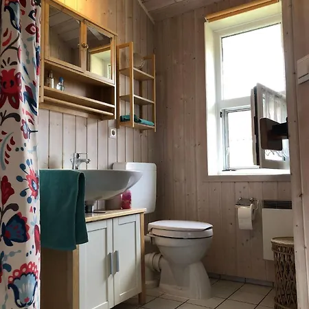 Ferienhaus Daenemark In